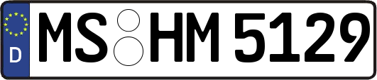 MS-HM5129