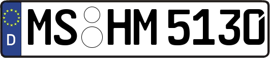 MS-HM5130