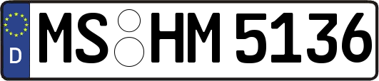 MS-HM5136