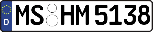 MS-HM5138