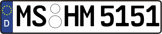 MS-HM5151