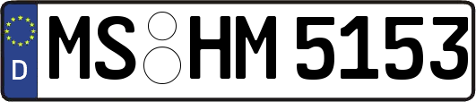 MS-HM5153