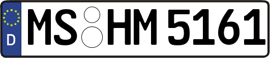MS-HM5161