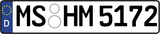 MS-HM5172