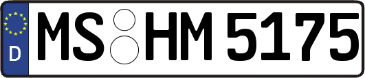 MS-HM5175
