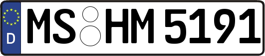 MS-HM5191