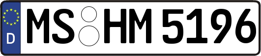 MS-HM5196