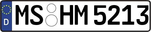 MS-HM5213