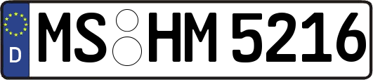 MS-HM5216