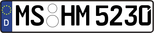 MS-HM5230