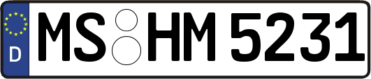 MS-HM5231