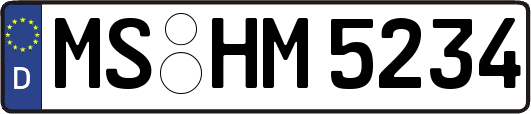 MS-HM5234