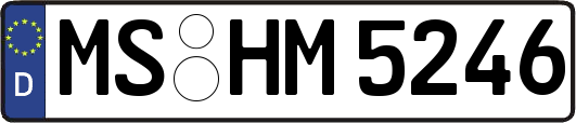 MS-HM5246