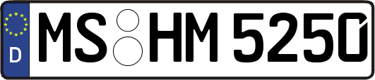 MS-HM5250