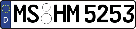 MS-HM5253