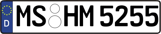 MS-HM5255
