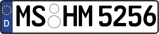 MS-HM5256