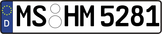 MS-HM5281