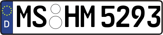MS-HM5293