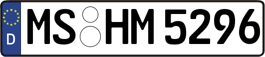 MS-HM5296