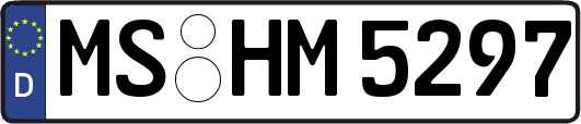 MS-HM5297