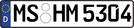 MS-HM5304