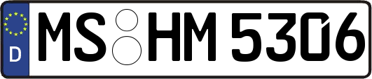 MS-HM5306