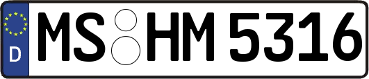 MS-HM5316
