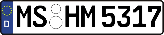 MS-HM5317