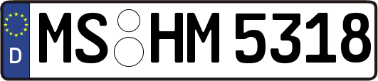 MS-HM5318