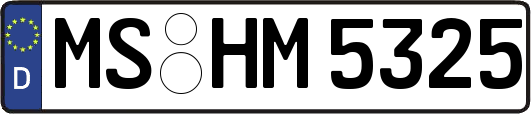 MS-HM5325