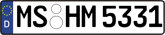 MS-HM5331