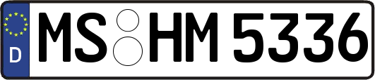 MS-HM5336
