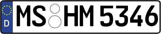 MS-HM5346
