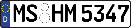 MS-HM5347