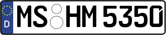 MS-HM5350