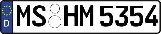 MS-HM5354