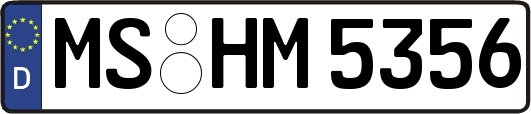 MS-HM5356