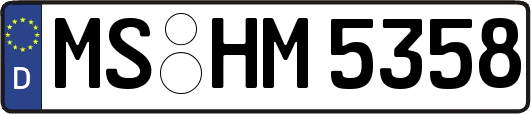 MS-HM5358