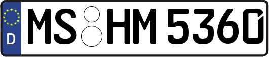MS-HM5360