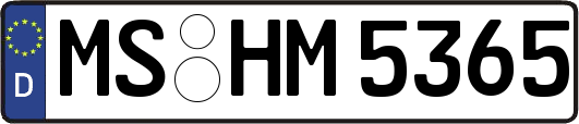 MS-HM5365