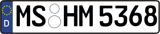 MS-HM5368