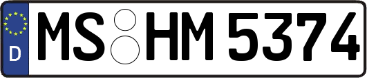 MS-HM5374