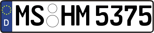 MS-HM5375