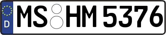 MS-HM5376