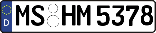 MS-HM5378