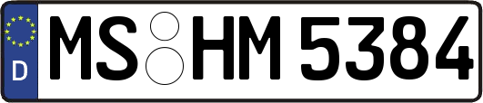 MS-HM5384
