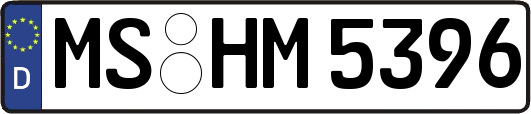 MS-HM5396