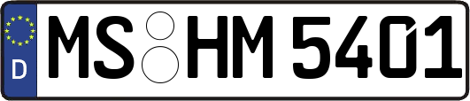 MS-HM5401
