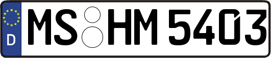 MS-HM5403